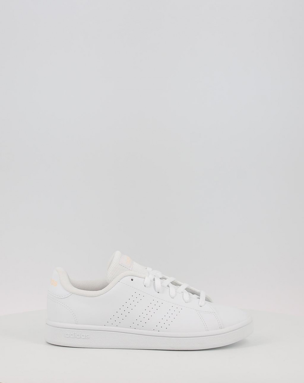 ADVANTAGE BASE GW7105