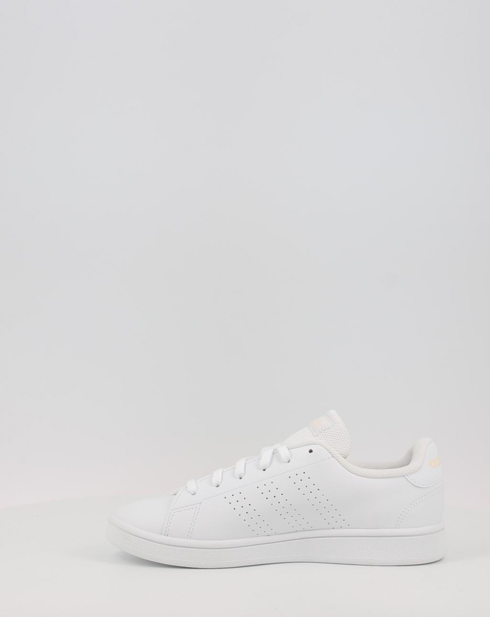 ADVANTAGE BASE GW7105