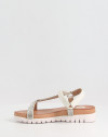 HADDAM 65813 HADDAM 65813