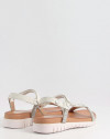HADDAM 65813 HADDAM 65813