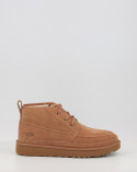 Chestnut