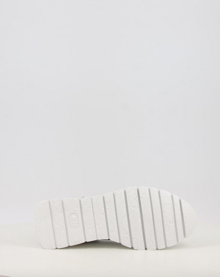 ODISEI 01