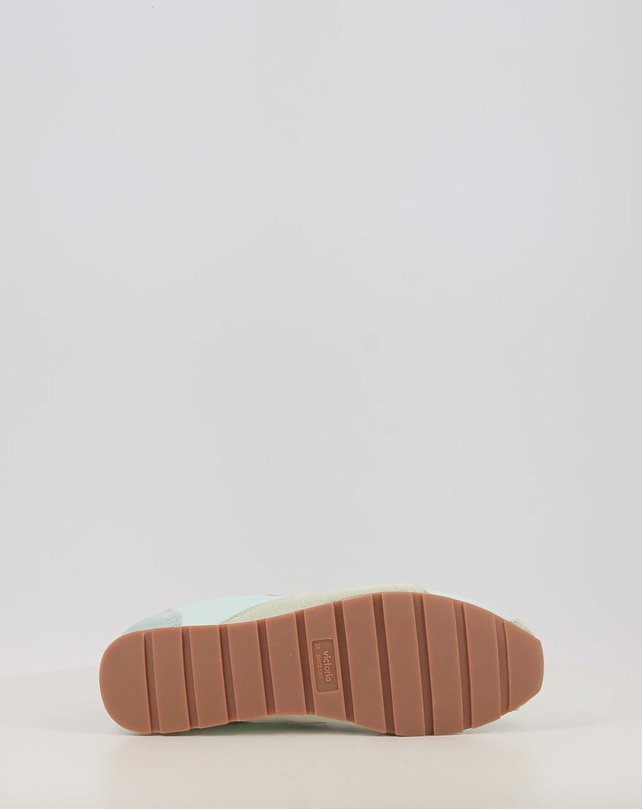 ASTER NYLON 1159104