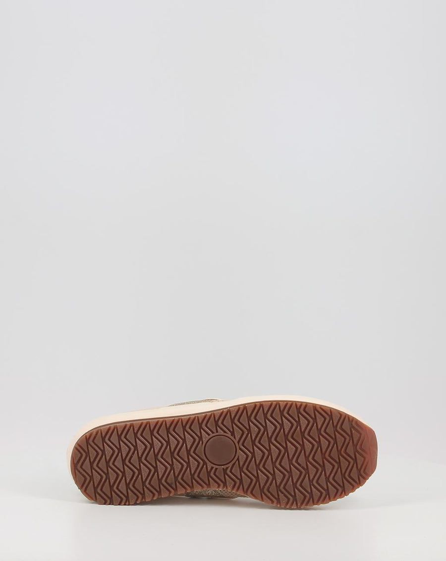JOANETA PLUS GLITTER 3666
